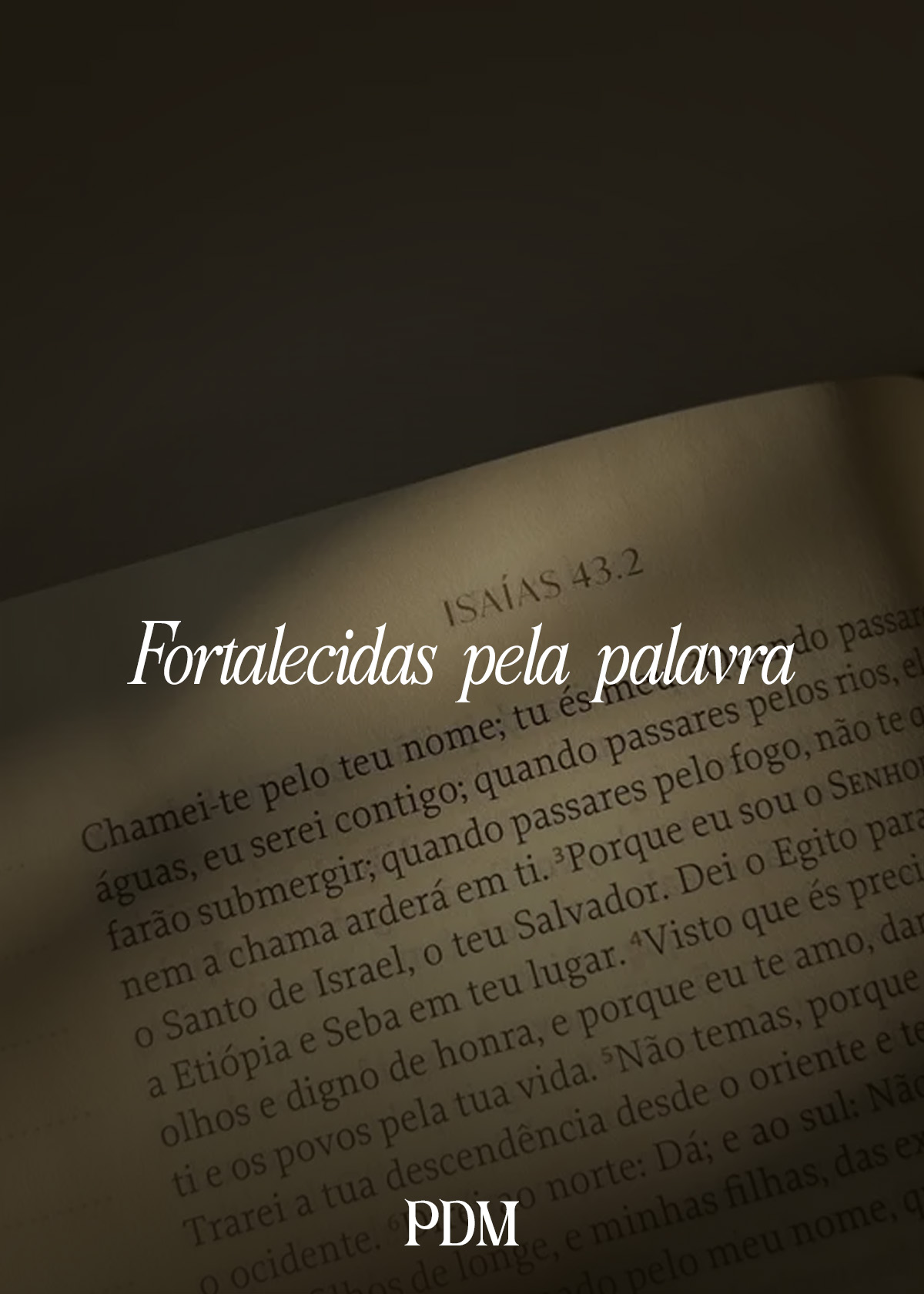 fortalecidas